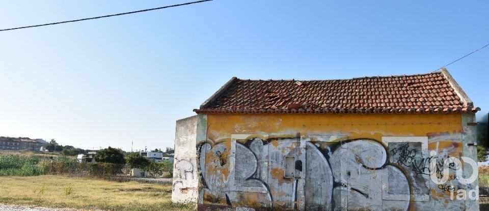 Maison de plain-pied T4 à São João Baptista de 85 m²