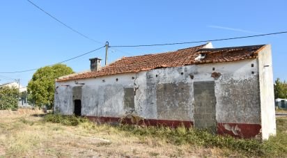 Maison de plain-pied T4 à São João Baptista de 85 m²