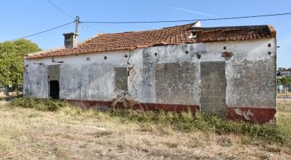 Maison de plain-pied T4 à São João Baptista de 85 m²