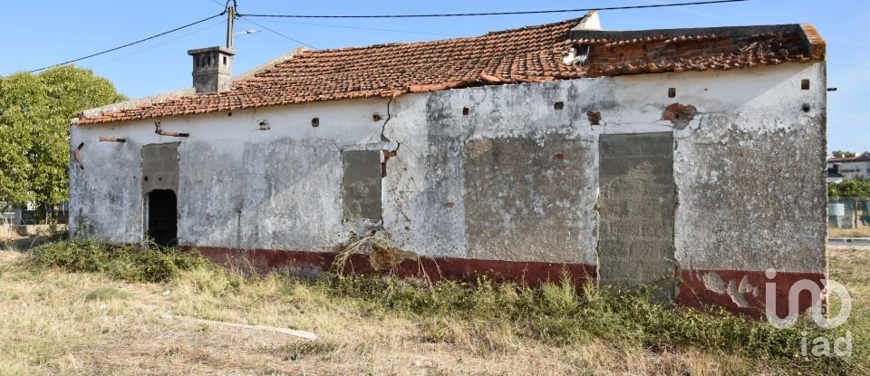 Maison de plain-pied T4 à São João Baptista de 85 m²