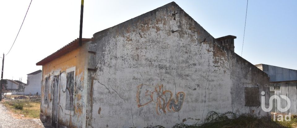 Maison de plain-pied T4 à São João Baptista de 85 m²