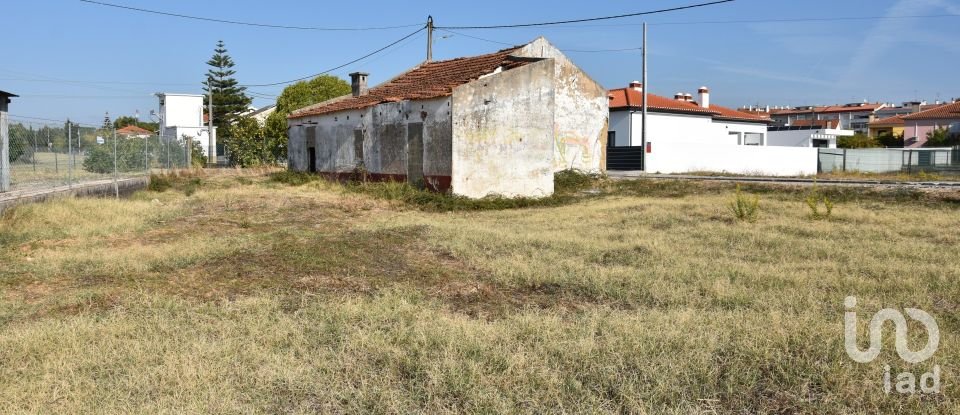 Maison de plain-pied T4 à São João Baptista de 85 m²