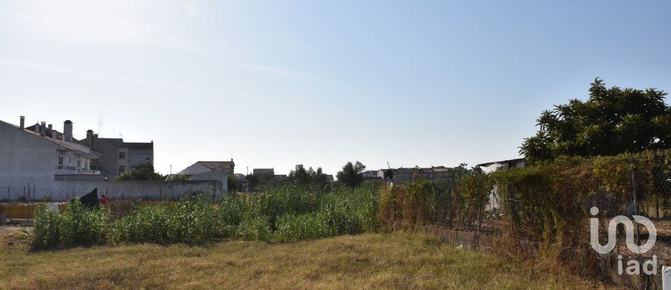 Maison de plain-pied T4 à São João Baptista de 85 m²