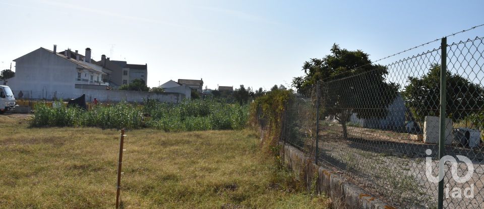 Maison de plain-pied T4 à São João Baptista de 85 m²