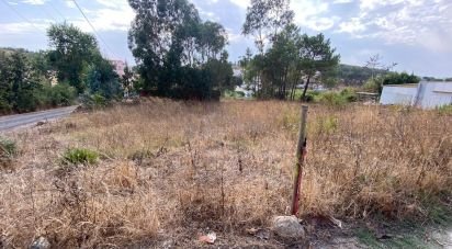 Terrain à bâtir à Santa Maria, São Pedro E Matacães de 640 m²