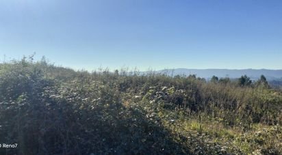 Terrain à bâtir à Gandra de 14 000 m²