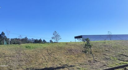 Terrain à bâtir à Gandra de 14 000 m²