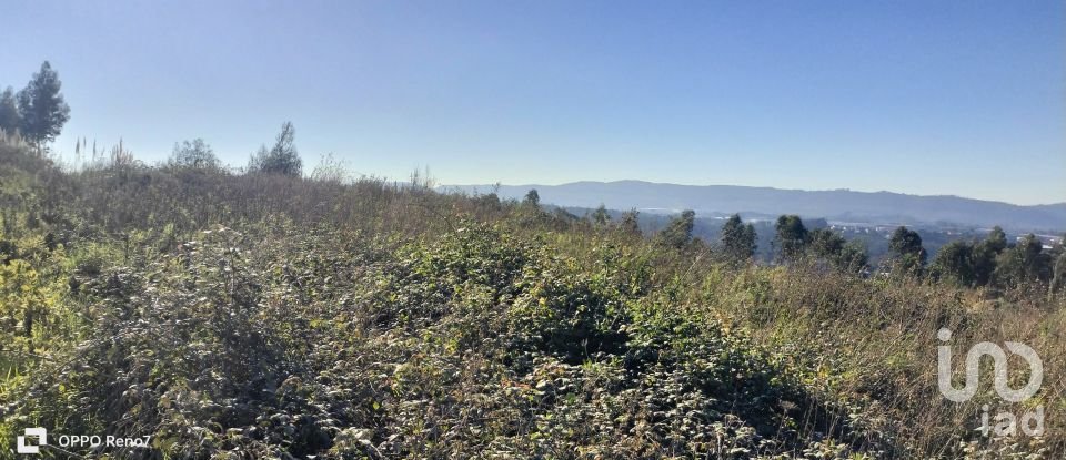 Terrain à bâtir à Gandra de 14 000 m²