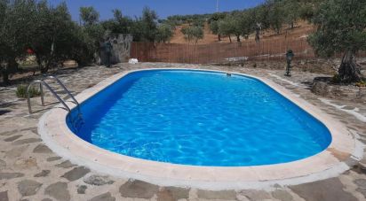 Ferme T4 à Meirinhos de 150 m²