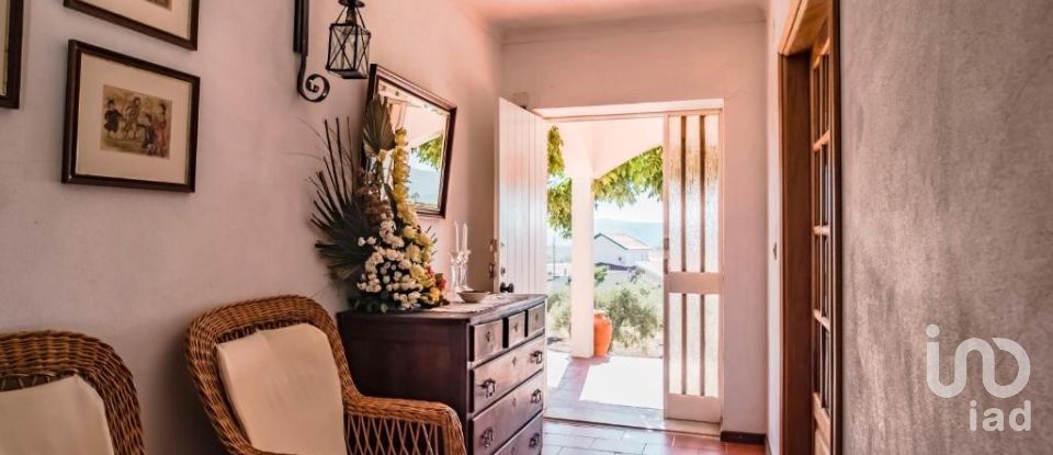 Quinta T4 em Meirinhos de 150 m²