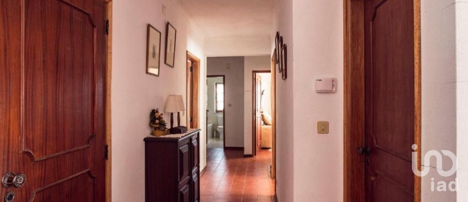 Quinta T4 em Meirinhos de 150 m²