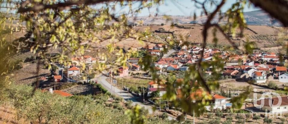 Quinta T4 em Meirinhos de 150 m²