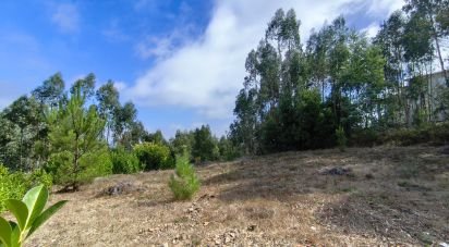 Terrain à bâtir à Arrifana de 700 m²