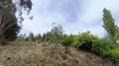 Terrain à bâtir à Arrifana de 700 m²