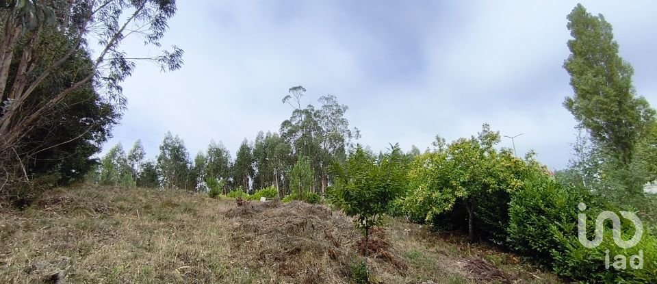 Terreno urbano em Arrifana de 700 m²