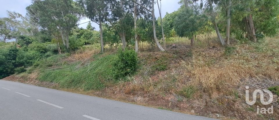 Building plot in Lamas e Cercal of 950 m²