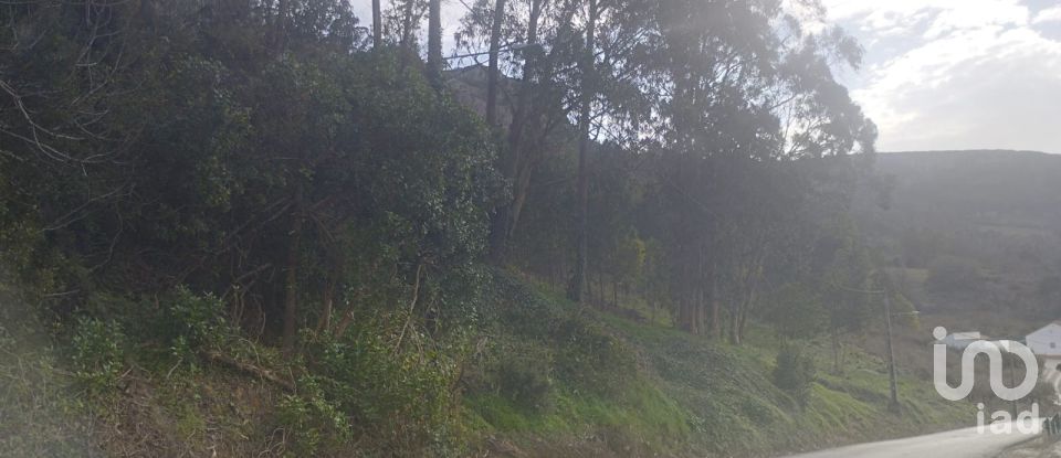 Building plot in Lamas e Cercal of 950 m²