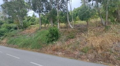 Building plot in Lamas e Cercal of 950 m²