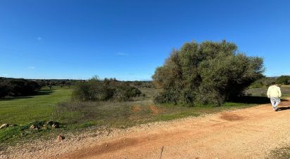 Terrain à Paderne de 3 100 m²