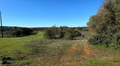 Terrain à Paderne de 3 100 m²