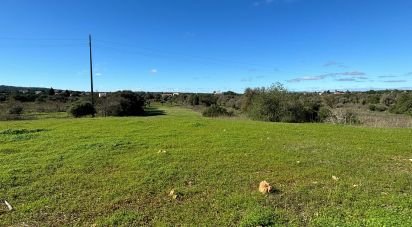 Terrain à Paderne de 3 100 m²