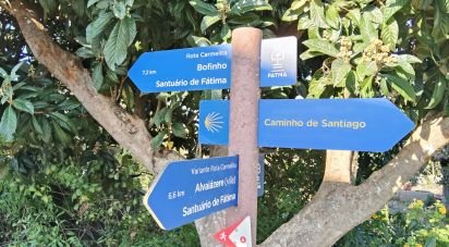 Maison T0 à Pousaflores de 312 m²