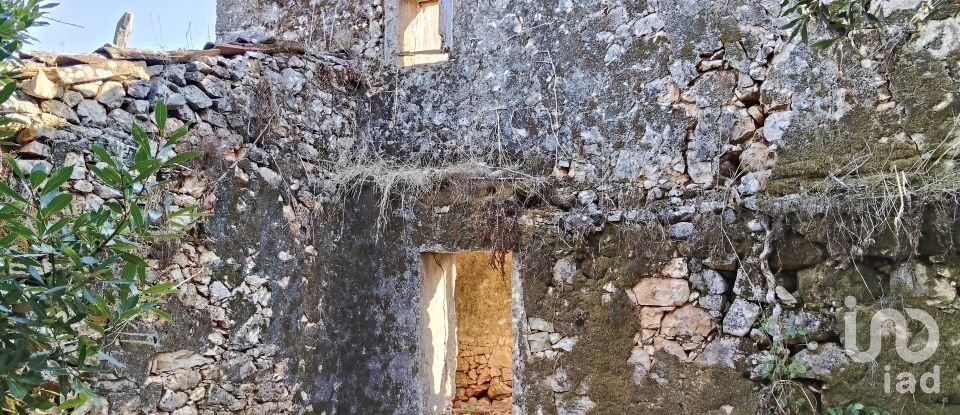 Maison T0 à Pousaflores de 312 m²