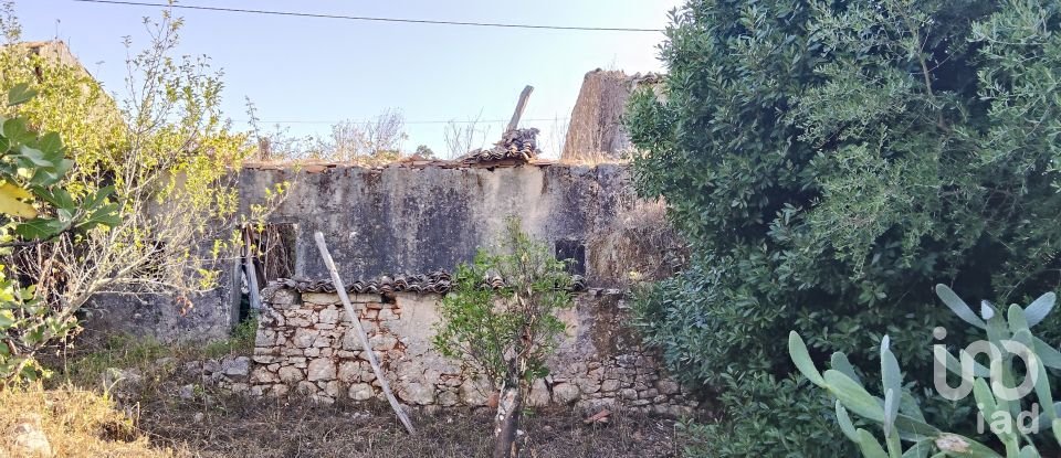 Maison T0 à Pousaflores de 312 m²