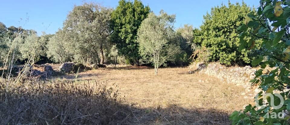 Maison T0 à Pousaflores de 312 m²