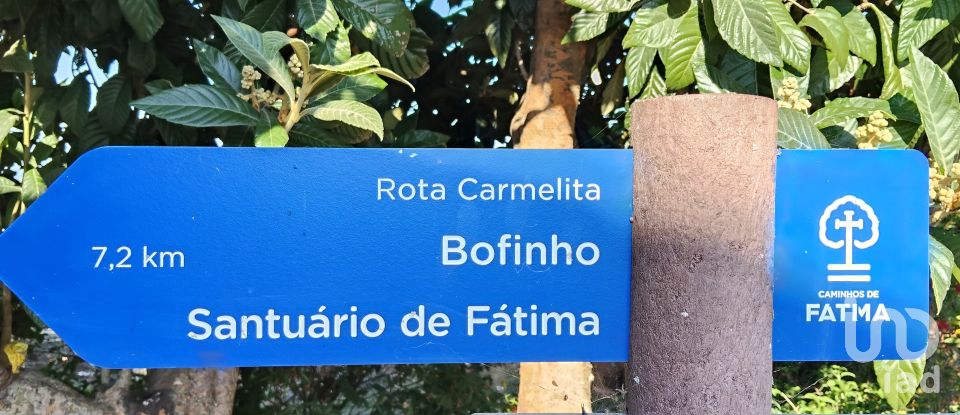 Maison T0 à Pousaflores de 312 m²