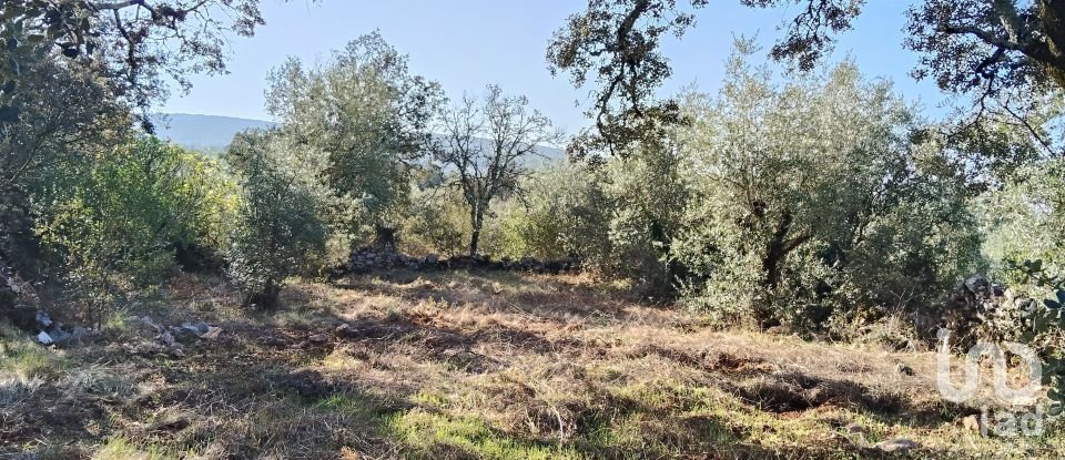 Maison T0 à Pousaflores de 312 m²