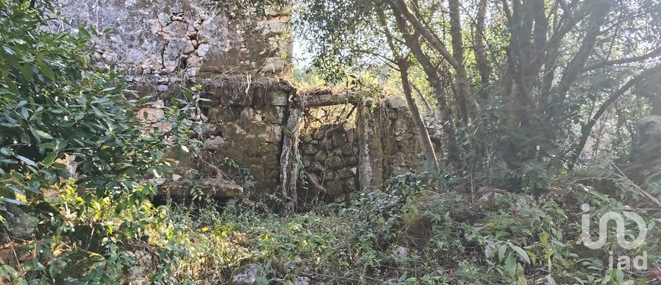 Maison T0 à Pousaflores de 312 m²