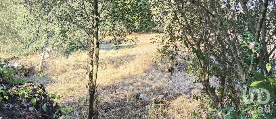 Maison T0 à Pousaflores de 312 m²