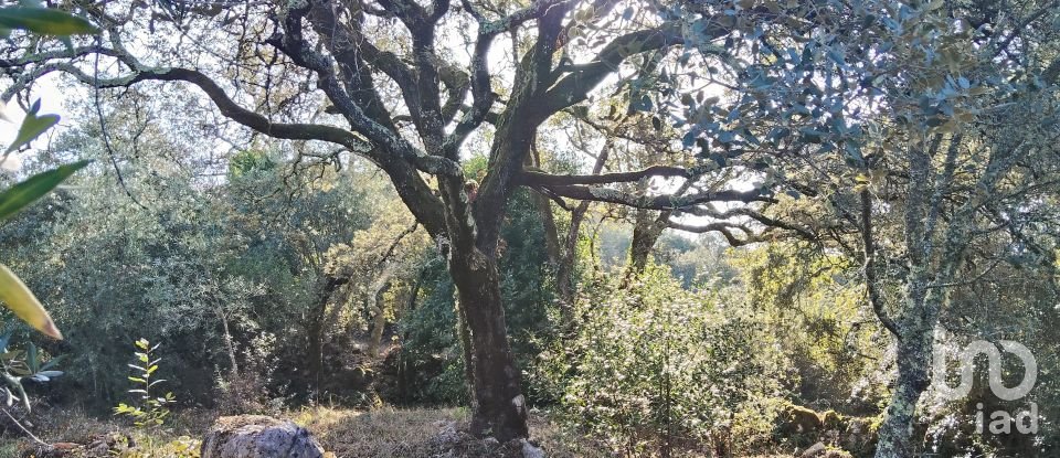 Maison T0 à Pousaflores de 312 m²