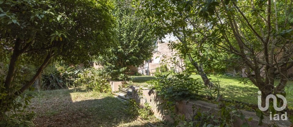 Appartement T10 à Santo António de 732 m²