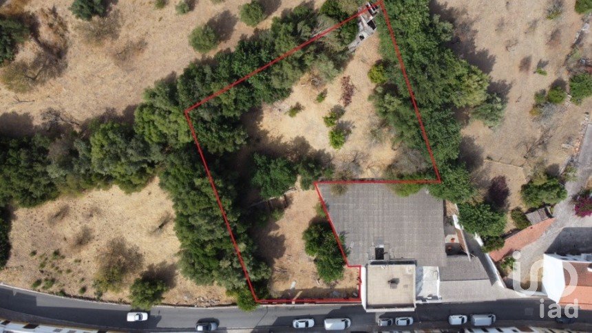 Terreno urbano em Salir de 1 250 m²