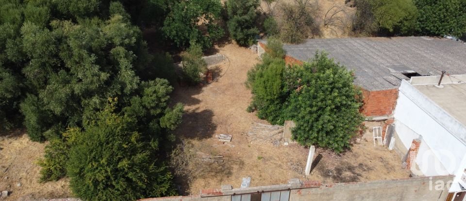 Terreno urbano em Salir de 1 250 m²