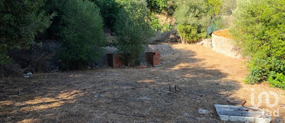 Terreno urbano em Salir de 1 250 m²