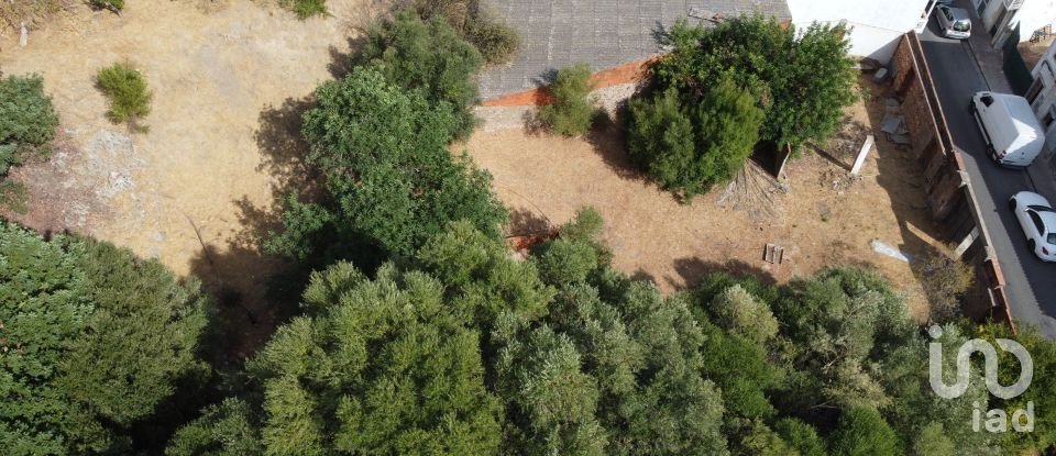 Terreno urbano em Salir de 1 250 m²