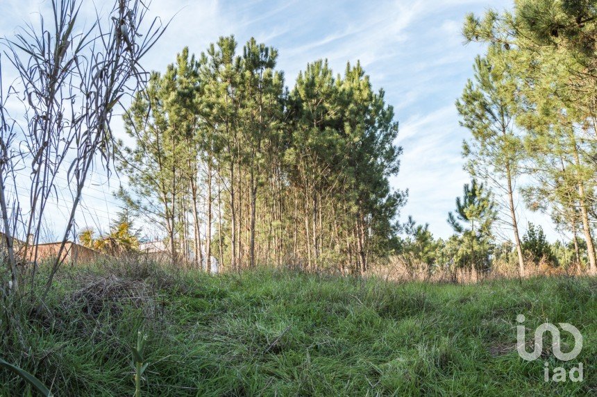 Terreno em Marinha Grande de 1 712 m²