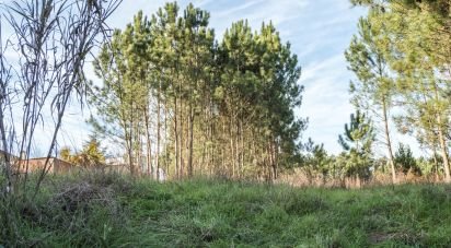 Terrain à Marinha Grande de 1 712 m²