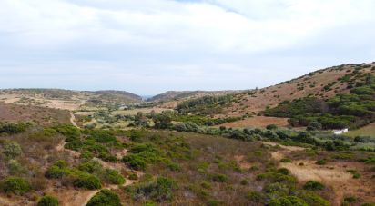 Terrain à Budens de 10 040 m²