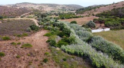 Terrain à Budens de 10 040 m²