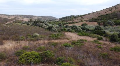 Terrain à Budens de 10 040 m²