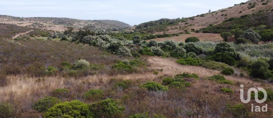 Terreno em Budens de 10 040 m²