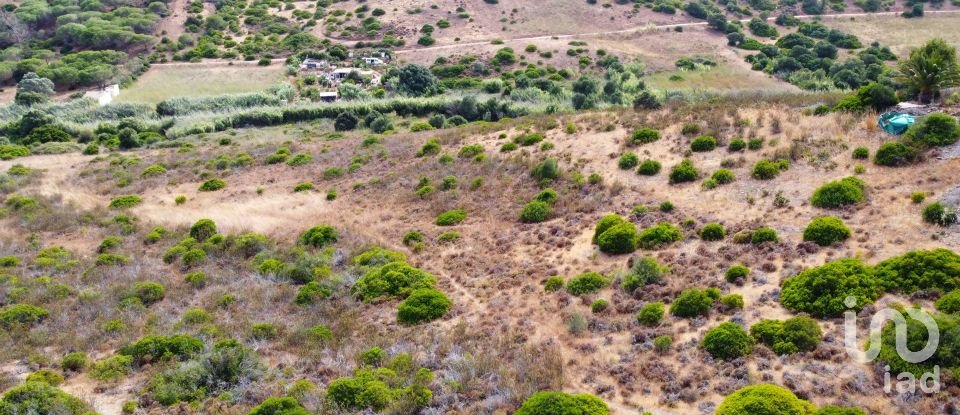 Terreno em Budens de 10 040 m²