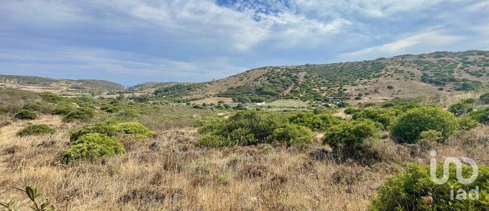 Terreno em Budens de 10 040 m²