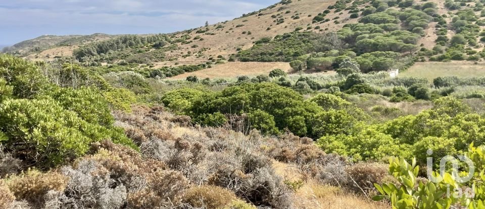 Terreno em Budens de 10 040 m²