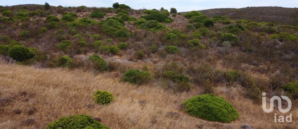 Terreno em Budens de 10 040 m²