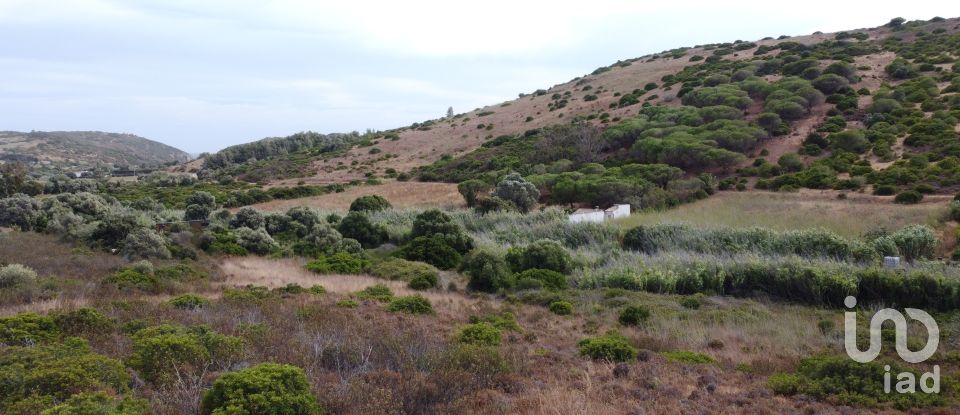 Terreno em Budens de 10 040 m²